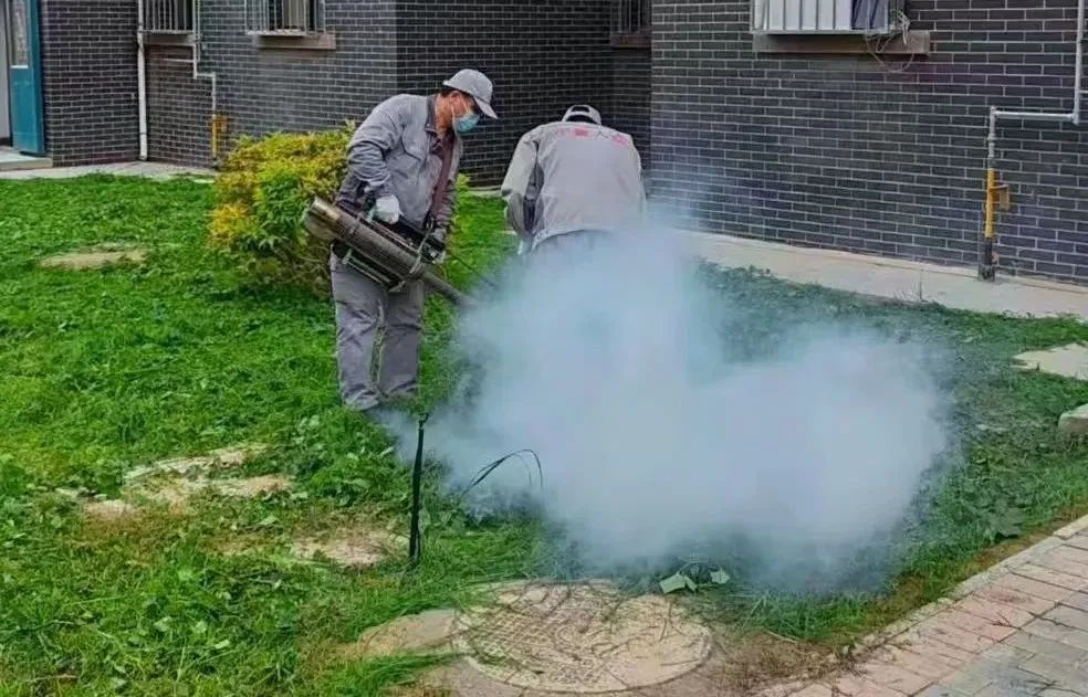 宁夏中卫市开展2024年冬季病媒生物消杀突击行动(图1)