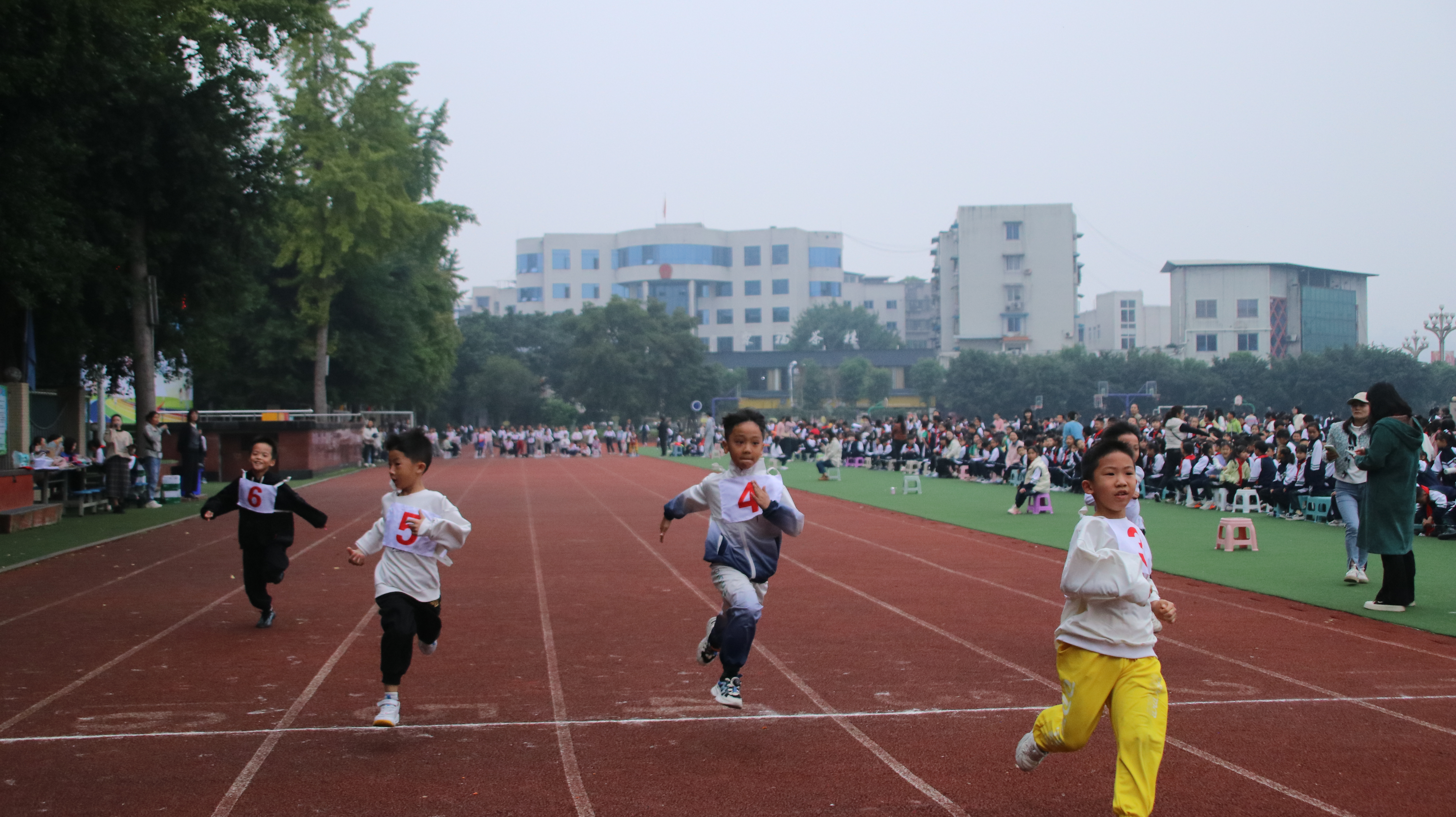 2024(图2)