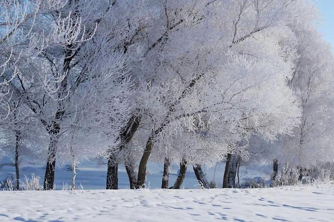 九游体育网站：赏雪景、享雪趣布尔津多措并举推进冰雪旅游高质量发展(图5)
