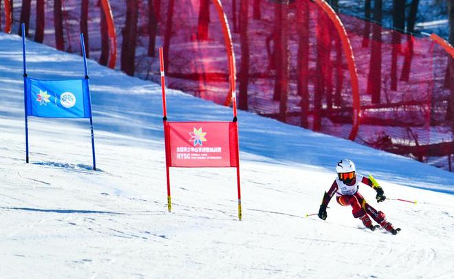 九游体育网站：“2024全国青少年四季滑雪挑战赛”总决赛举办385名青少年参赛(图3)