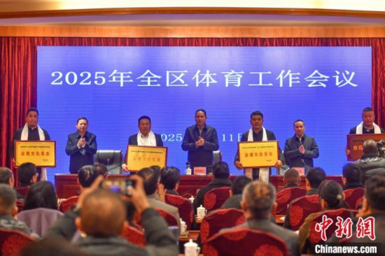 九游体育网站：2024年西藏落实项目资金497亿元加强群众健身场地建设(图1)