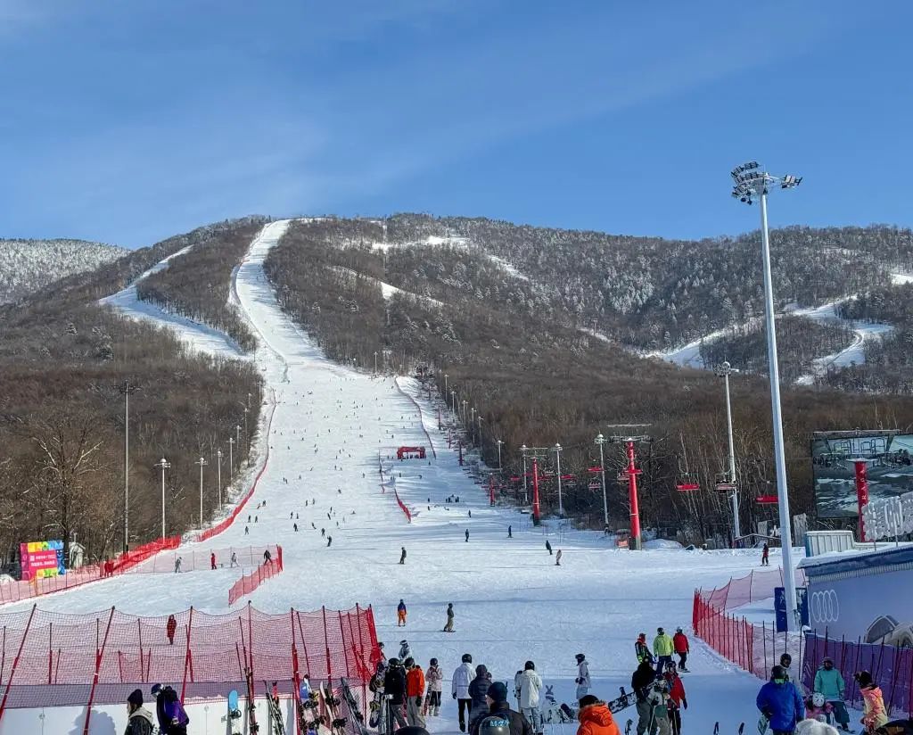 數據：中國冰雪季旅遊收入有望突破6300億元(图2)