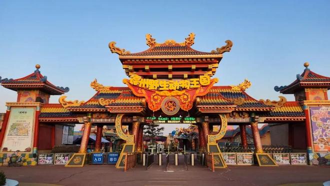 游在德州宁津德百杂技蟋蟀谷沉浸式文旅盛宴(图3)