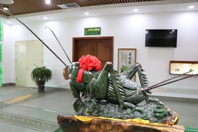 游在德州宁津德百杂技蟋蟀谷沉浸式文旅盛宴(图2)