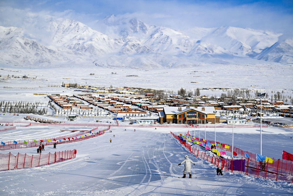 重庆市沙坪坝区人民政府(图6)