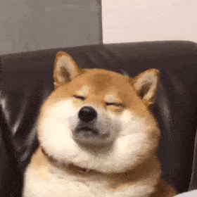 快时尚品牌进军滑雪服领域“低价内卷”时代来临？(图11)