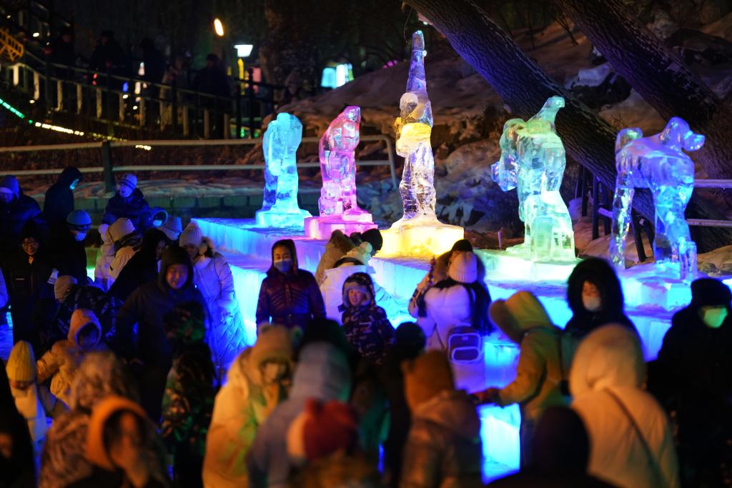 冬天里的一把“火”——2023-2024冰雪季大众冰雪运动盘点(图1)