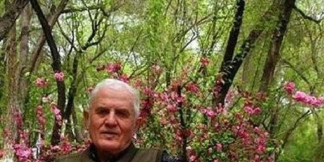 九游体育网站：美国弃婴被北京夫妻收养成为我国著名地质学家很讨厌被叫老外(图13)