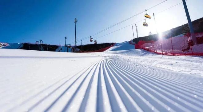 与光同行·奔赴未来2024国际冬博会翠云山斩获双奖(图5)