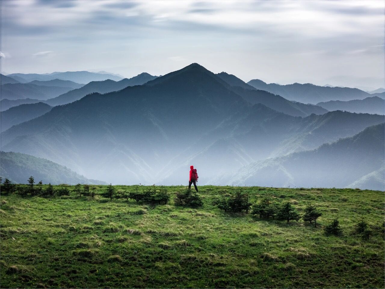 “山野产业”不能野蛮生长(图2)