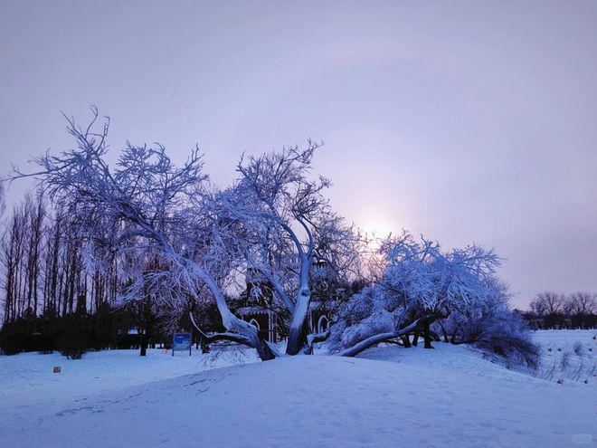 大众点评2025哈尔滨旅行社高分榜：靠谱十强出炉口碑人气双优(图3)