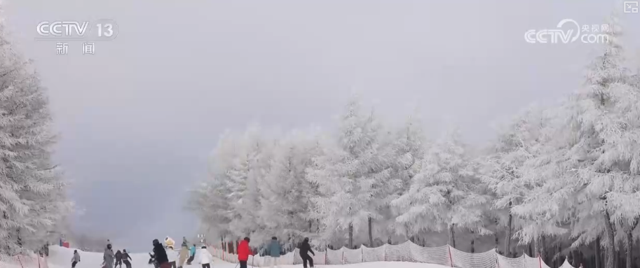 創新業態釋放“冬雪夏涼”資源優勢新活力“高端賽事+大眾活動”添彩花樣冰雪(图19)