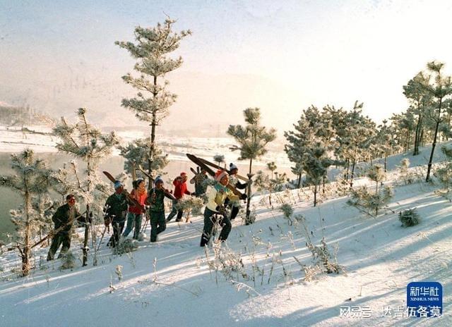 时光相册丨新雪季开启！影像见证中国滑雪“华丽转身”(图5)