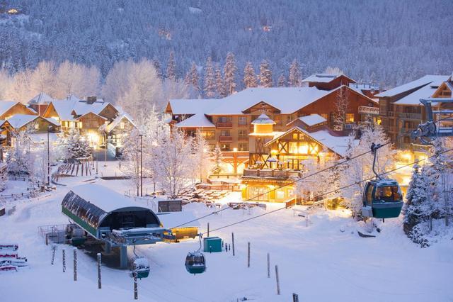 九游体育网站：冻土生金：冰雪“热经济”激活乡村“冷资源”(图2)