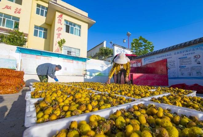 贵州六盘水：文旅融合的民生诗篇(图4)