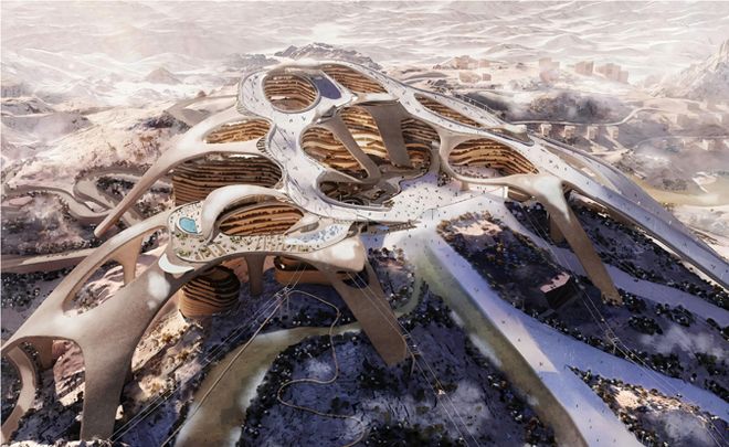 体育烧光了沙特的钱？(图7)