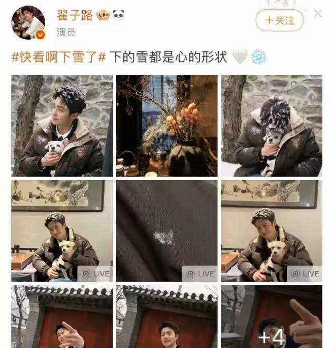 北京暴雪刷屏！59岁巩俐雪地甜恋出圈众明星花式解锁冬日浪漫故宫雪景引游客热潮(图2)