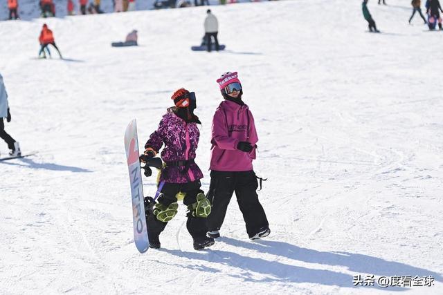 九游体育：从早嗨到晚！潍坊滑雪场单日客流破千冬季遛娃新地标诞生(图13)