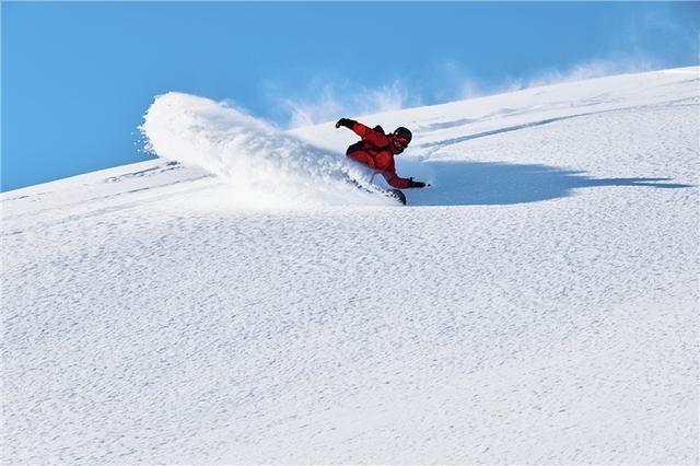 九游体育：张嘉豪：冰雪骏马激扬青春力量(图1)