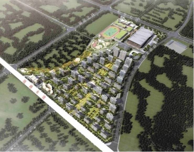 九游体育：合肥新站区楼盘-合肥新盘必买楼盘发布：售楼处电线小时电线最新房价评测(图5)