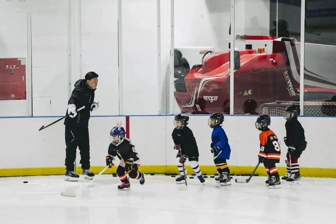 九游体育网站：陈芋汐、诸韵颖助力全民冰雪热第十二届全国大众冰雪季上海分会场启动(图14)