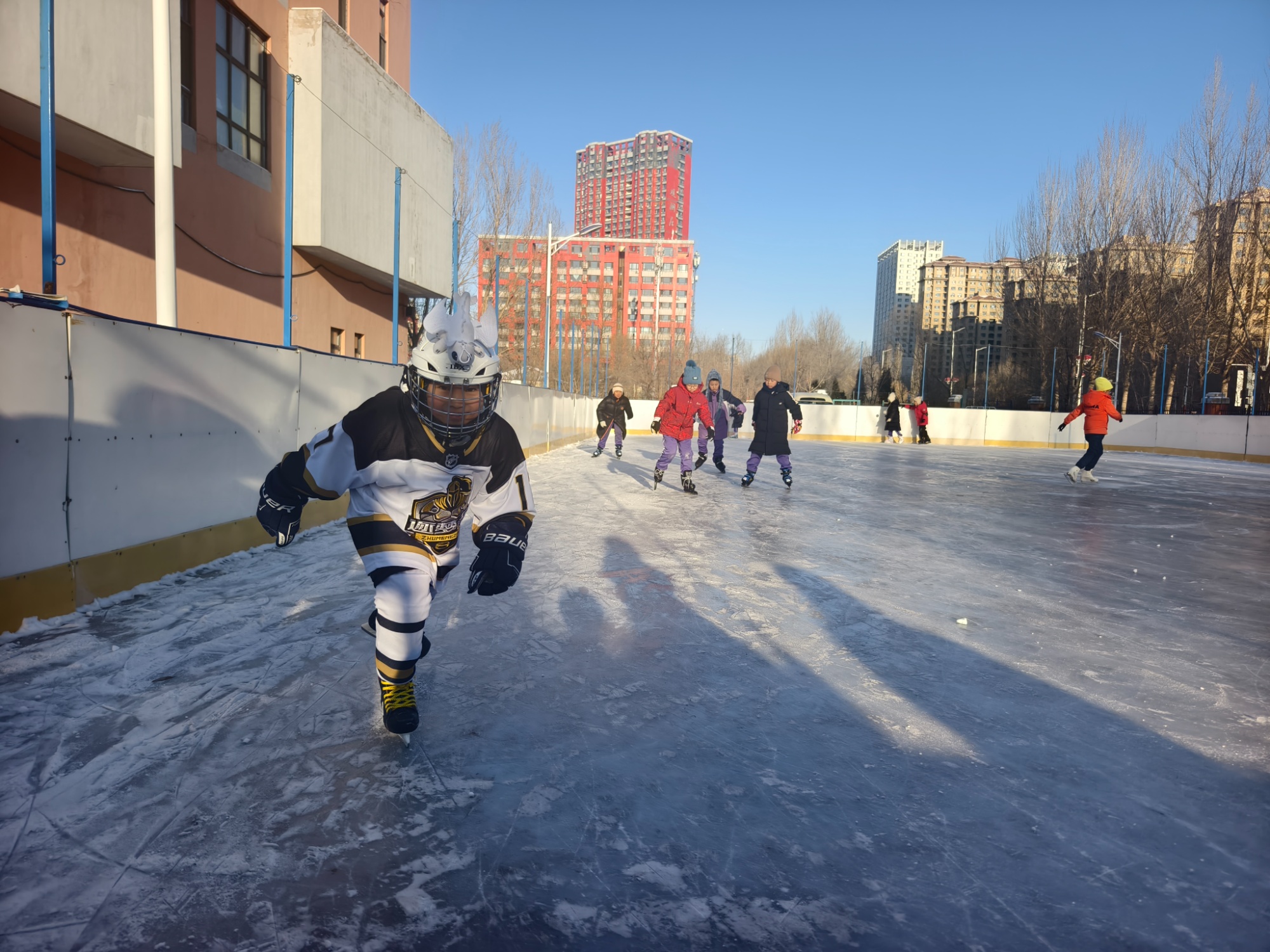 政策赋能冰雪运动！哈尔滨新区构建“阶梯式”冰雪育人新体系(图1)