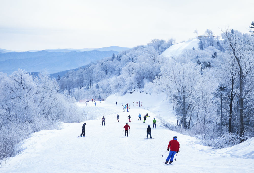 九游体育网站：镜观·回响｜让冰天雪地成为金山银山(图2)