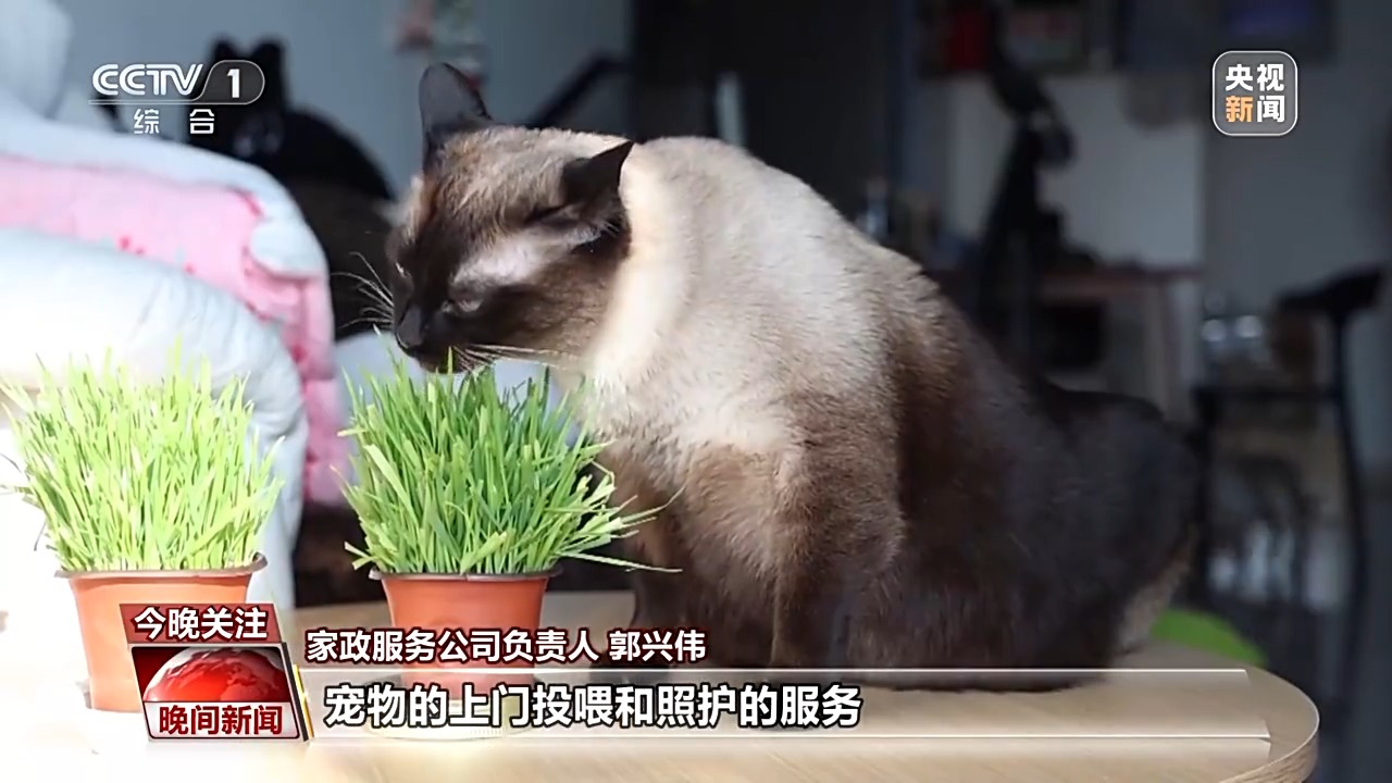 九游体育：销量翻倍、订单排满节前消费市场活力十足(图6)