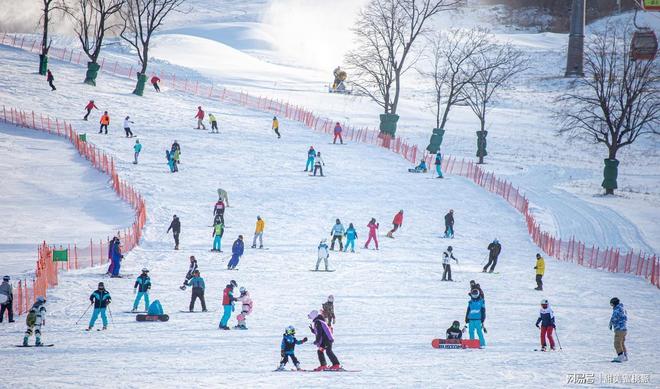 九游体育：滑雪一次烧钱五六万冰雪经济火热中产家庭是在咬牙硬撑吗？(图9)