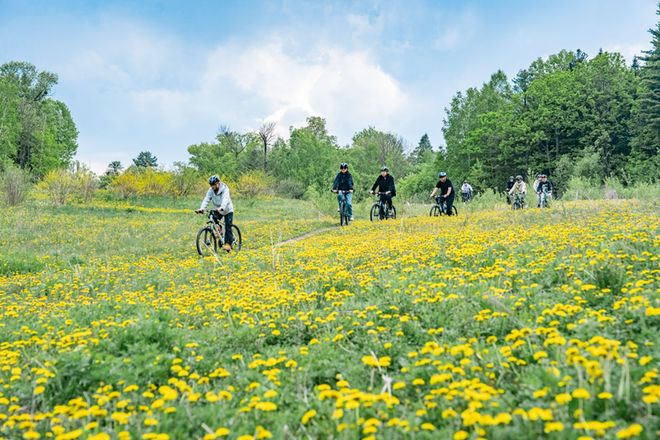 九游体育网站：踏春长白正当时：乘高铁赴一场春宴东北居民专享春日礼遇上线！(图4)